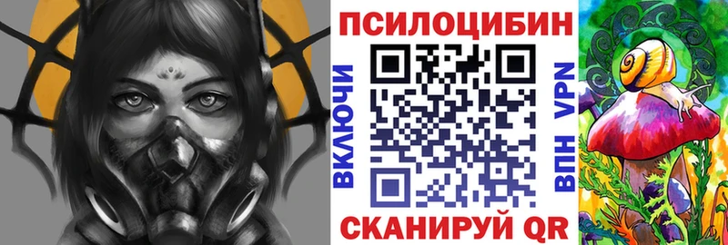 дарнет шоп  Выкса  Псилоцибиновые грибы GOLDEN TEACHER 